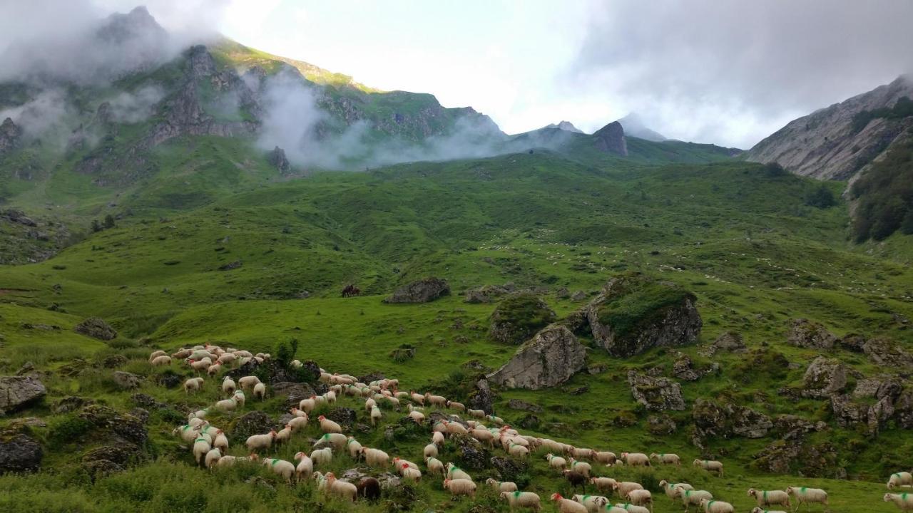 Gite De Montagne Du Plateau De Lhers- Accueil Randonneurs Accous Екстер'єр фото