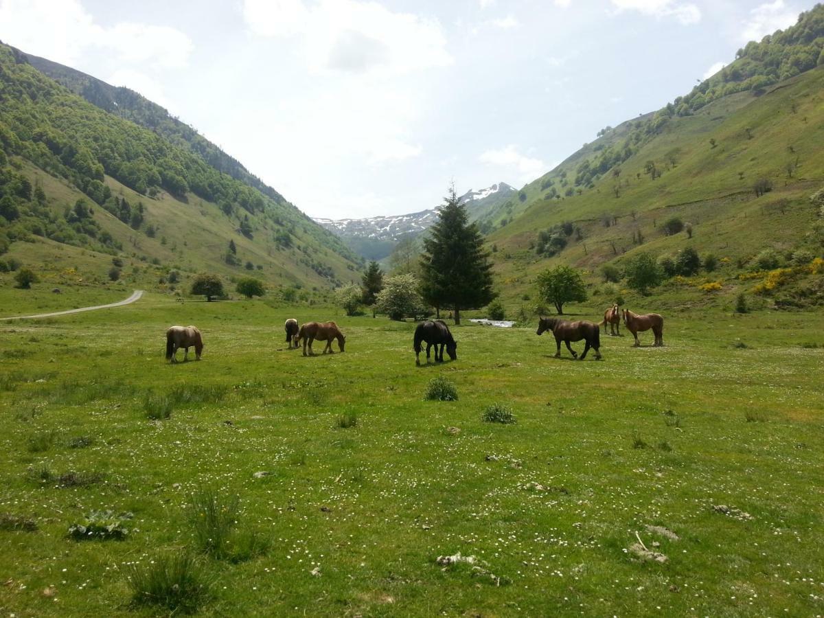 Gite De Montagne Du Plateau De Lhers- Accueil Randonneurs Accous Екстер'єр фото
