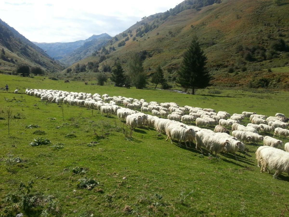 Gite De Montagne Du Plateau De Lhers- Accueil Randonneurs Accous Екстер'єр фото